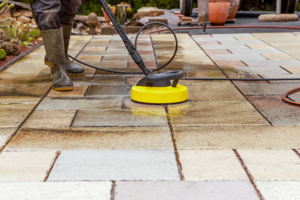 Best Fence Cleaning and Maintenance in Schertz, TX