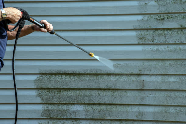 Best Roof Cleaning and Mildew Removal in Schertz, TX